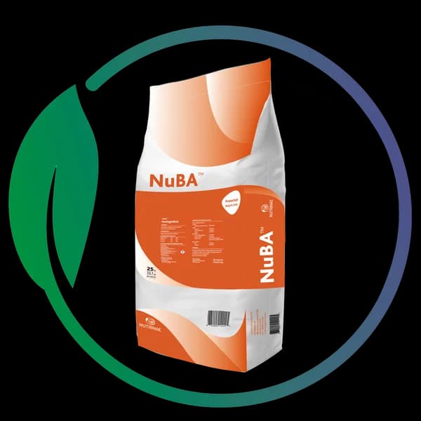 NuBA