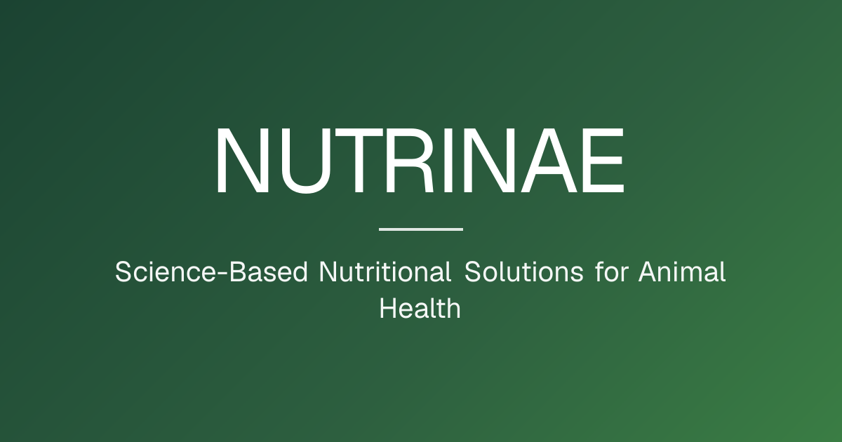 Animal Nutrition Solutions & Natural Feed Additives | NUTRINAE